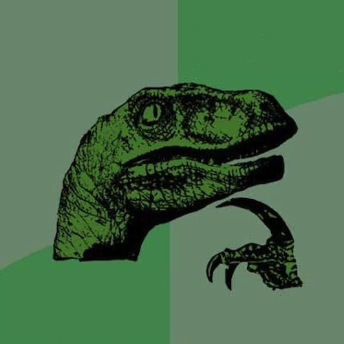Hoi Ngu