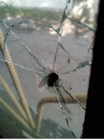  :v  nào. .!! cút ra :d  :(  -  haivl | hài hước | hài vl   