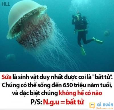  <3 <3   gặp con người là tuổi thọ rút ngắn lại ngay  <3 <3  