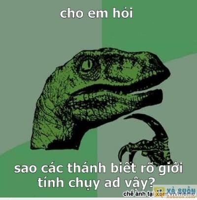  :v  em mới vào ạ!  <3  -  haivl | hài hước | hài vl  