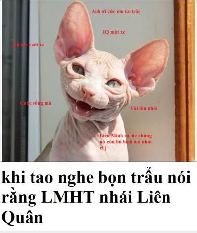  :x  ừ thì nhái :v  <3  -  haivl | hài hước | hài vl  