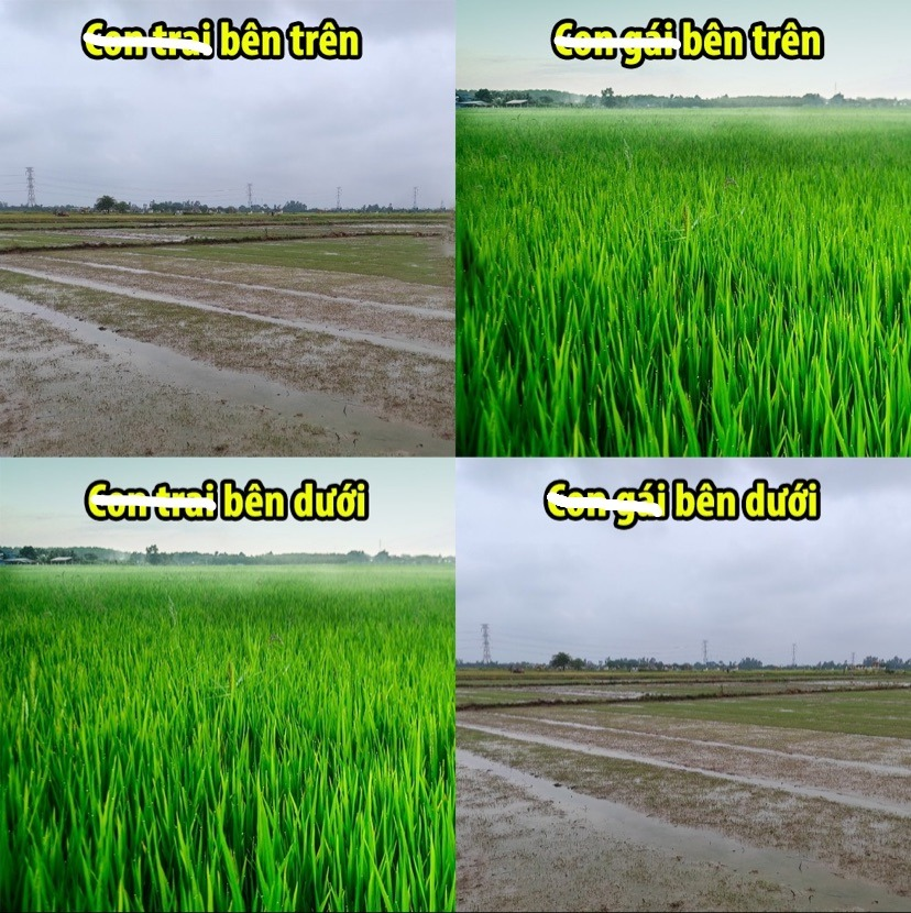 Lại bảo sai đi 🐧 -  haivl | hài hước | hài vl  