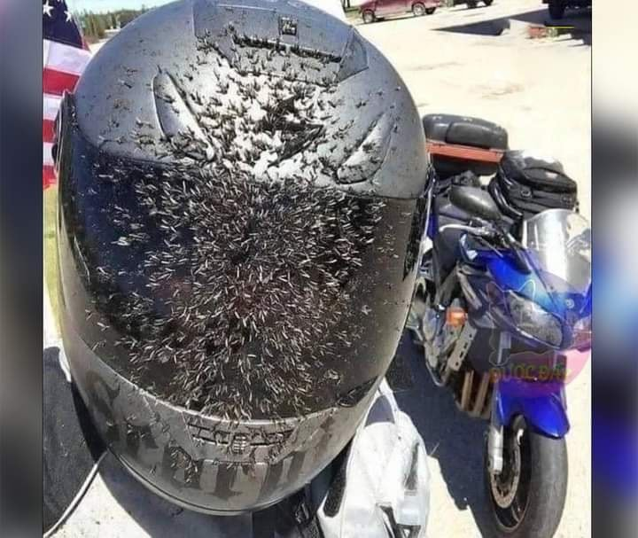 Người trong ngành mới hiểu được 😅 -  haivl | hài hước | hài vl  