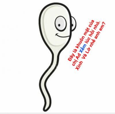  :d  đây chính là ảnh lúc hồi nhỏ của chị ad nhà ta, nghiêng đầu mà đọc, đừng tưởng xem chùa mà dễ nhé  <3 