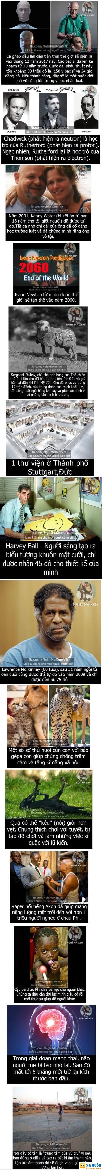  hài hước   lần đầu làm kiểu này  :v  -  haivl | hài hước | hài vl 