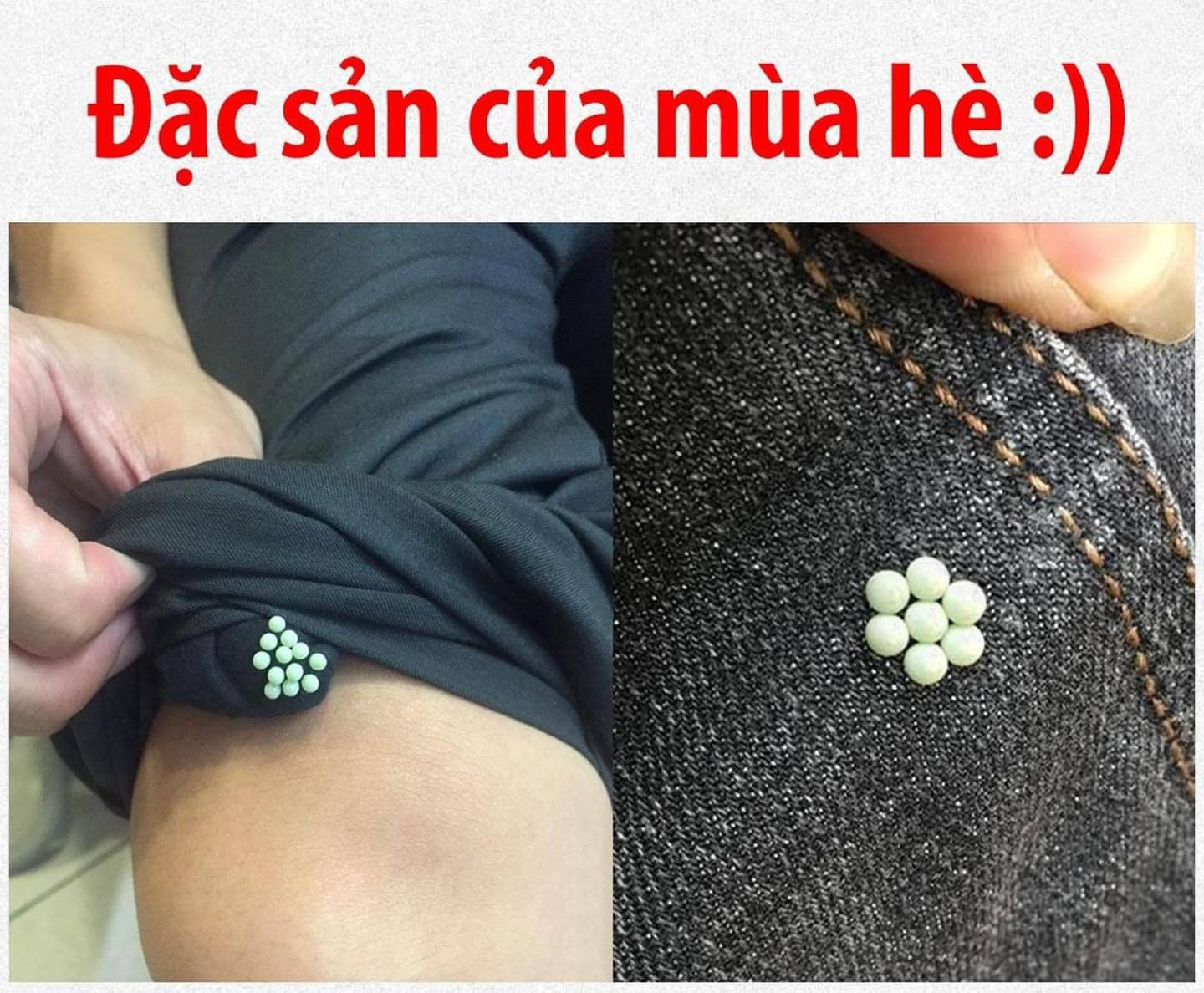 Không phải ai cũng biết ☹️ -  haivl | hài hước | hài vl   