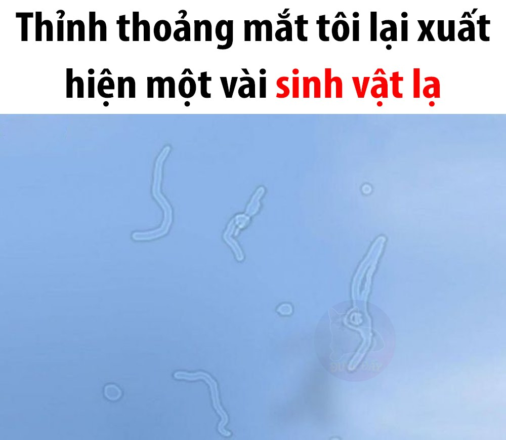 Cứ nghĩ mình có siêu năng lực 😅 -  haivl | hài hước | hài vl  