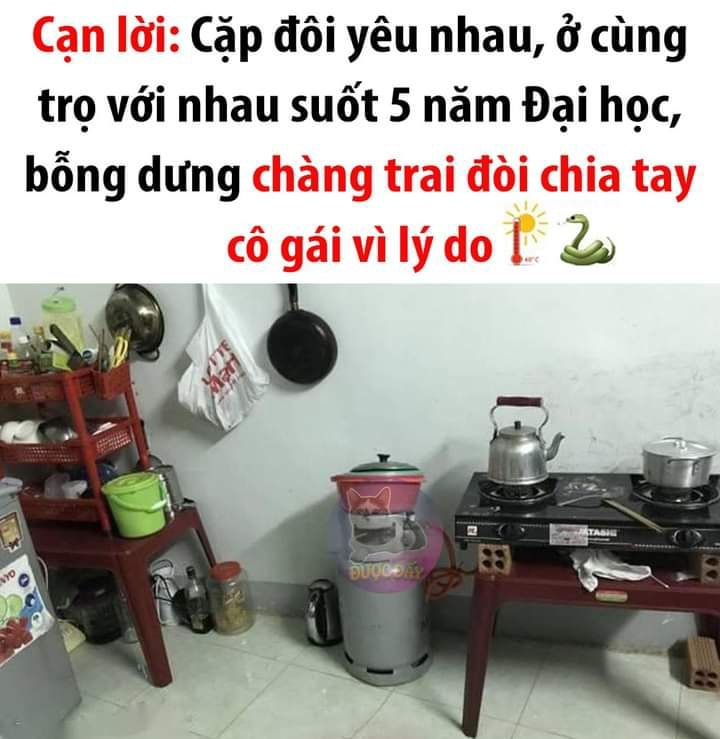 IQ cao lắm mới hiểu được 🙂 -  haivl | hài hước | hài vl   