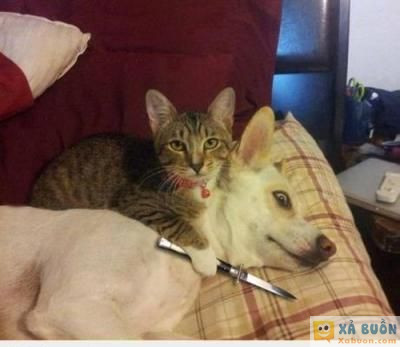  =)) <3   xin lỗi nó đã biết quá nhiều  <3 <3   -  haivl | hài hước | hài vl 