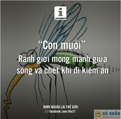  :x :x  nghe cũng tội mà thôi cũng kệ :3  =)) <3   -  haivl | hài hước | hài vl 