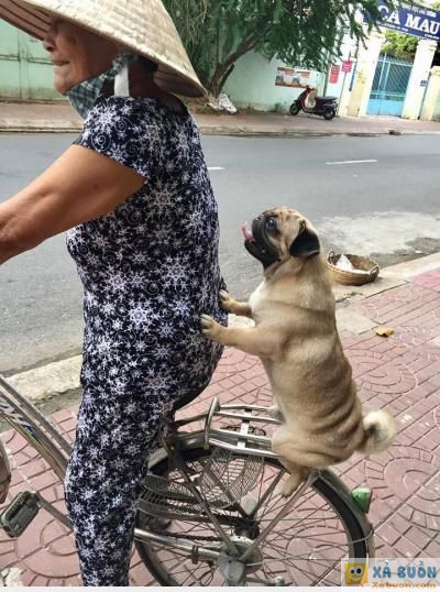  <3 <3   bám chắc vào bà cho đi chợ nghe con  :x  -  haivl | hài hước | hài vl 