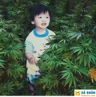  hài hước   ảnh của tao hồi bé chúng mày ạ =)  <3  -  haivl