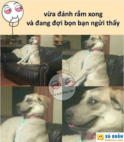  :v  hí hí hí  :d  -  haivl | hài hước | hài vl  