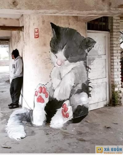  :d  grafity  :3  -  haivl | hài hước | hài vl  