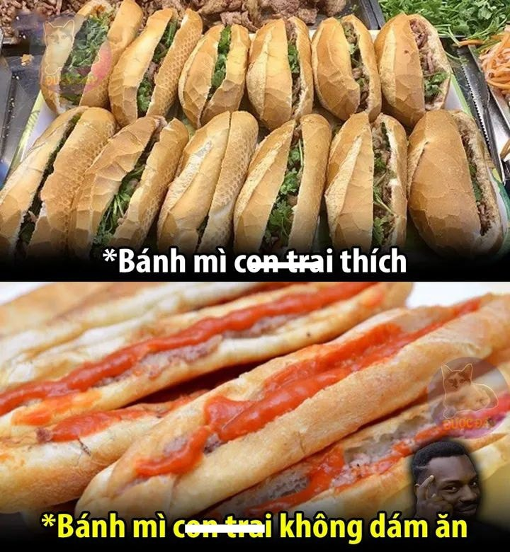 Lại bảo sai đi :v -  haivl | hài hước | hài vl  
