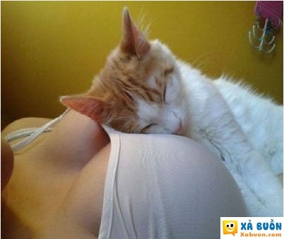  :x :x  những lúc mệt mỏi, chúng ta đều cần một điểm tựa :xd  :( 