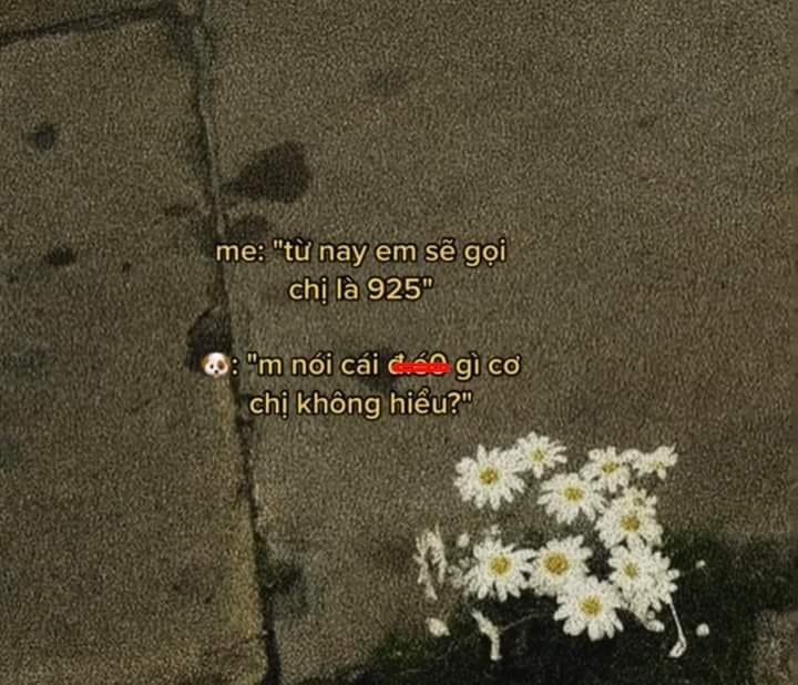 À =)))) -  haivl | hài hước | haiivl| bigo viet 