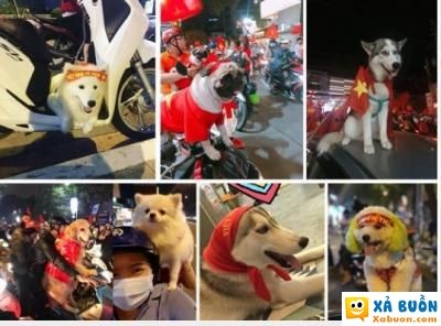  :d  khi các boss đi bão u23 còn nhiệt hơn đám con sen :p  hài hước  