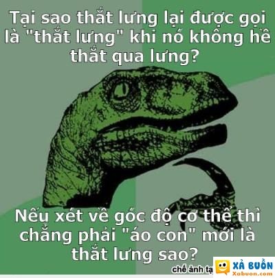  :d  và tại sao chị ad lại xinh quá vậy?  hài hước   -  haivl
