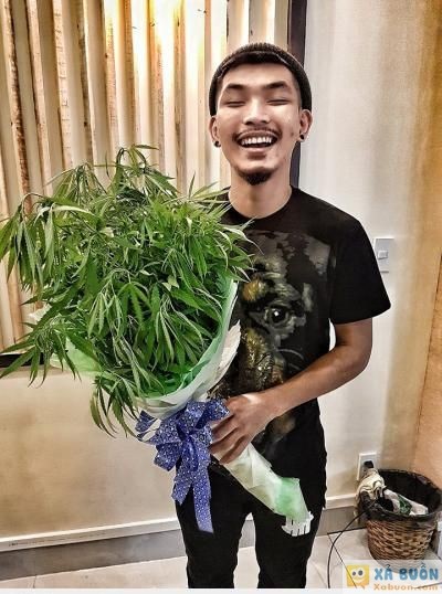  :d  bụi đời chợ lớn và lá đu đủ =))  =)) <3   -  haivl