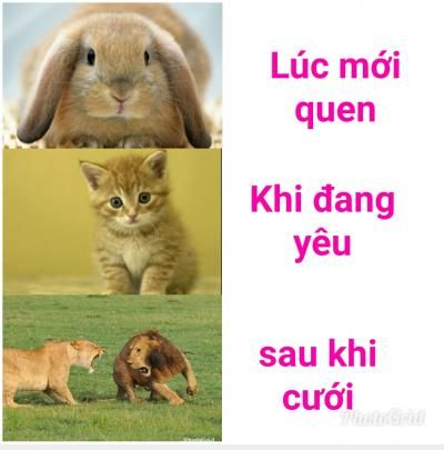  =)) <3   sự thật về các cô gái  :x  -  haivl | hài hước | hài vl  