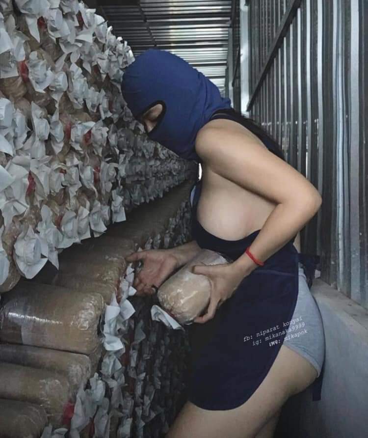 Phát hiện có tên trộm 🤭 -  haivl | hài hước | hài vl   