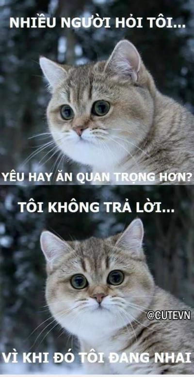 <3 <3   khó quyết định lắm chứ bộ :3  =))  -  haivl | hài hước | hài vl 