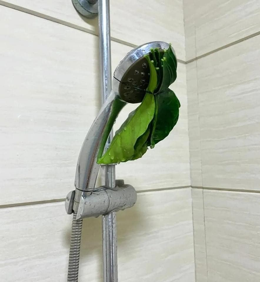 Chỉ người từng trải mới hiểu được vấn đề 🙁 -  haivl