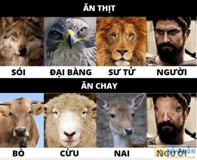  :(  tao đang suy nghĩ lại việc ăn chay  :x  -  haivl | hài hước | hài vl 