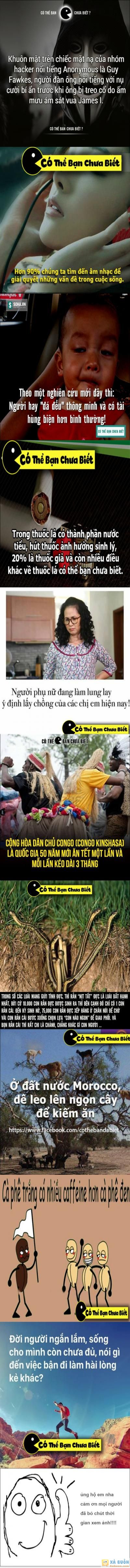  =)) <3   thấy hay nên đăng cho ae xem p4 :)  =)) <3   -  haivl | hài hước | hài vl 