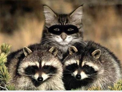  <3  có điều gì sai sai ở đây :o  :d  -  haivl | hài hước | hài vl  