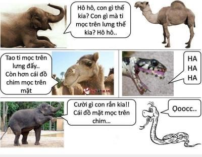  <3  chuyện 3 loài  :d  -  haivl | hài hước | hài vl  