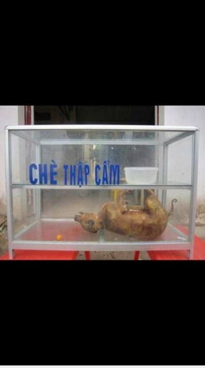  =))  thua  =))  -  haivl | hài hước | hài vl  