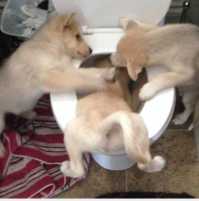  :d  3 anh em đi nhậu về  =)) <3   -  haivl | hài hước | hài vl   