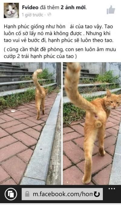  :x  =))  :d  -  haivl | hài hước | hài vl  
