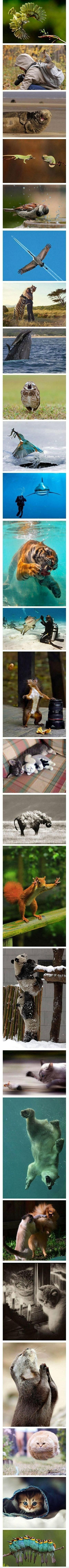  =))  khoảnh khắc kì diệu :)  :3  -  haivl | hài hước | hài vl  