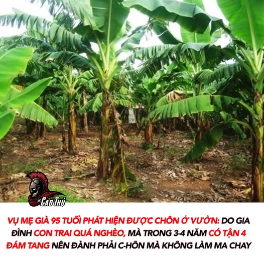 Buồn -  haivl | hài hước | haiivl| bigo viet 
