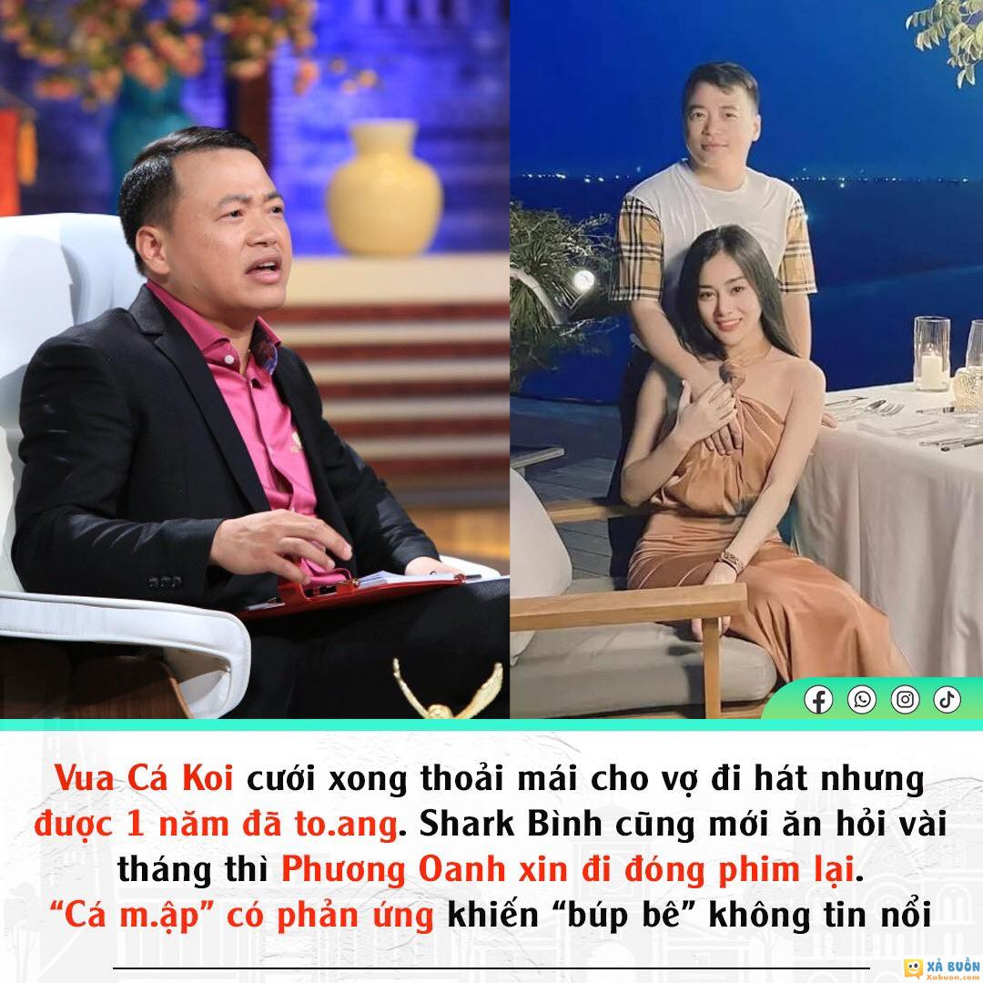 Mong Shark Bình đừng như Vua Cá Koi nhé -  haivl | hài hước | hài vl  