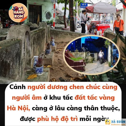 Những vị hàng xóm vui tính 😘😘😘 -  haivl | hài hước | hài vl  
