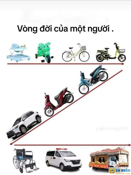 Bạn đang ngồi xe nào 🤣🤣🤣 -  haivl | hài hước | hài vl   