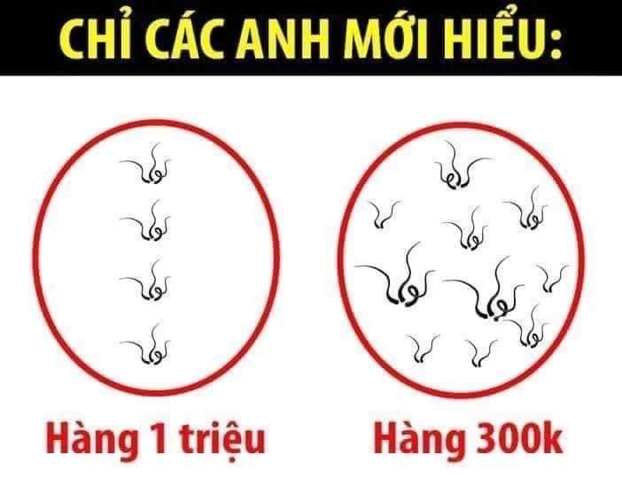 Các ông zô xác nhận giúp toi -  haivl | hài hước | hài vl   