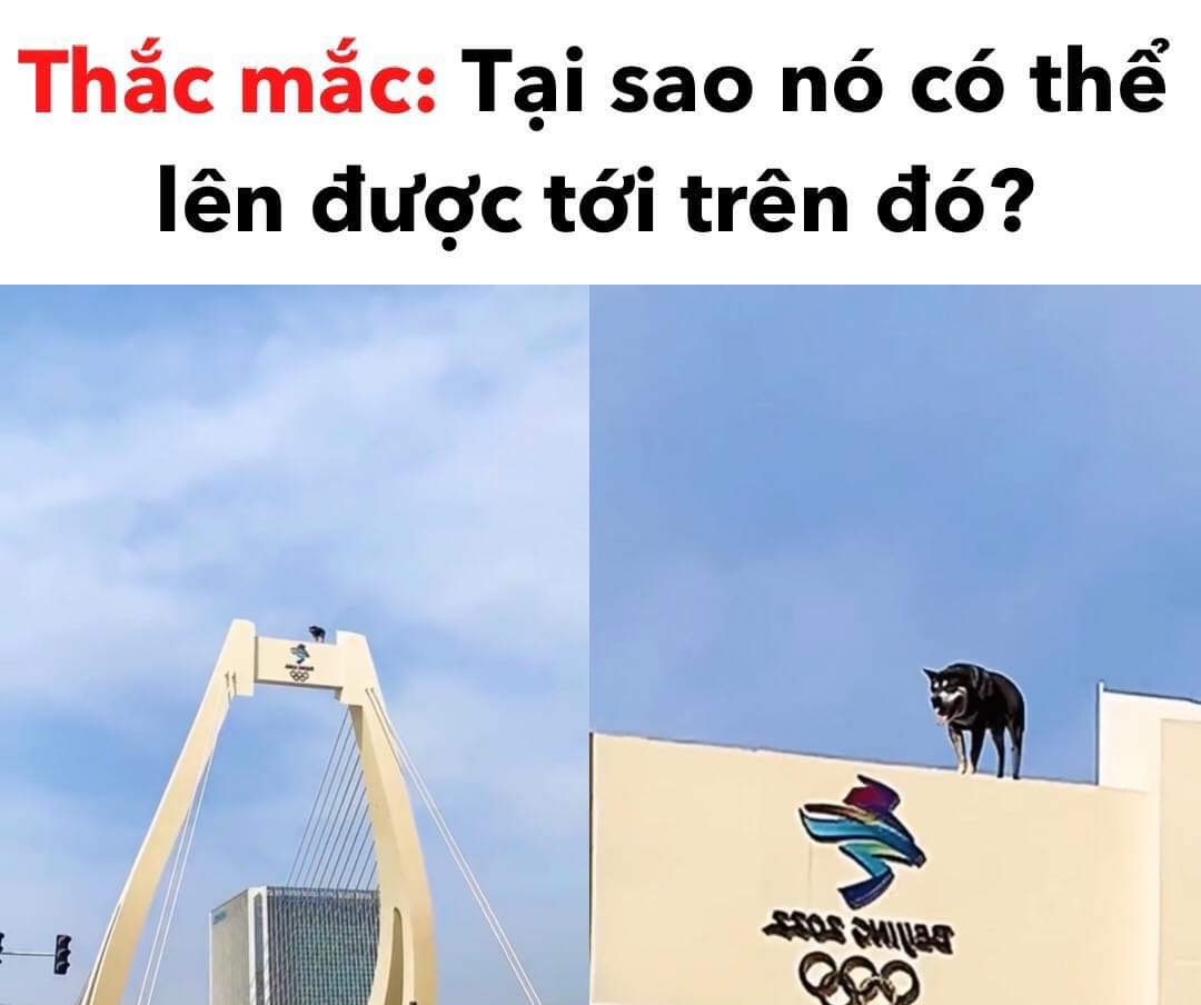 Chơi đồ à =)))))) -  haivl | hài hước | hài vl  