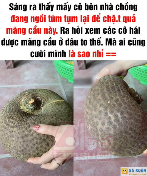 Đúng là tấm chiếu mới 😅😅 -  haivl | hài hước | hài vl   