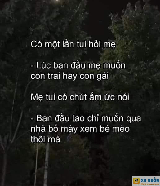 Thương mẹ =)) -  haivl | hài hước | hài vl  
