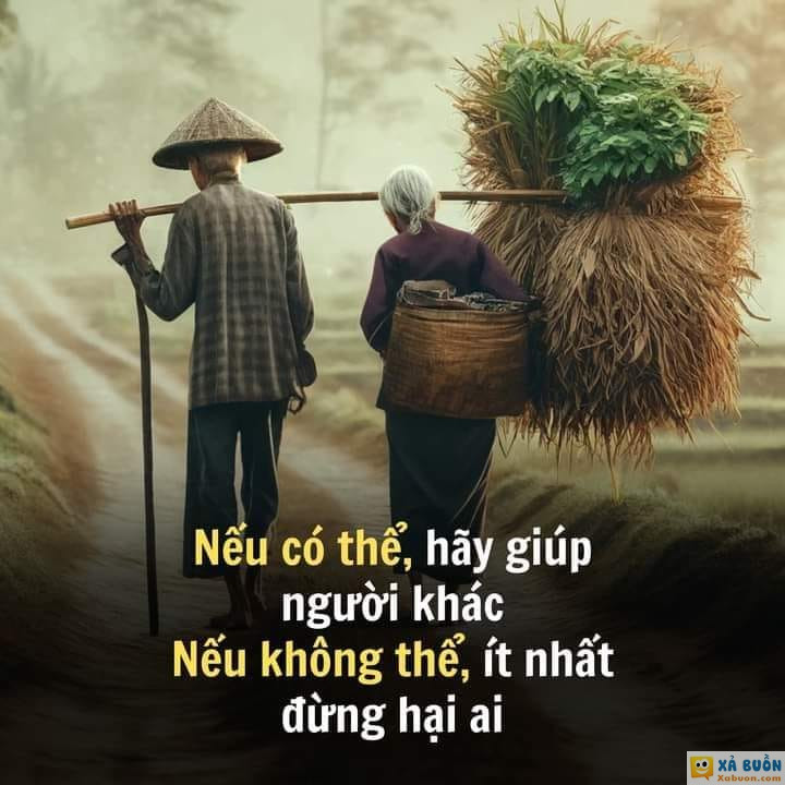 Nếu có thể -  haivl | hài hước | hài vl  