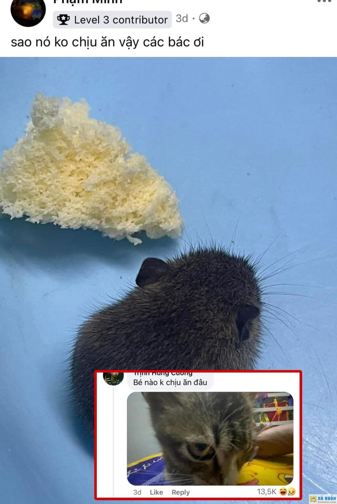 Không ăn mẹ cho chú kia ăn giờ =)))) -  haivl | hài hước | hài vl  