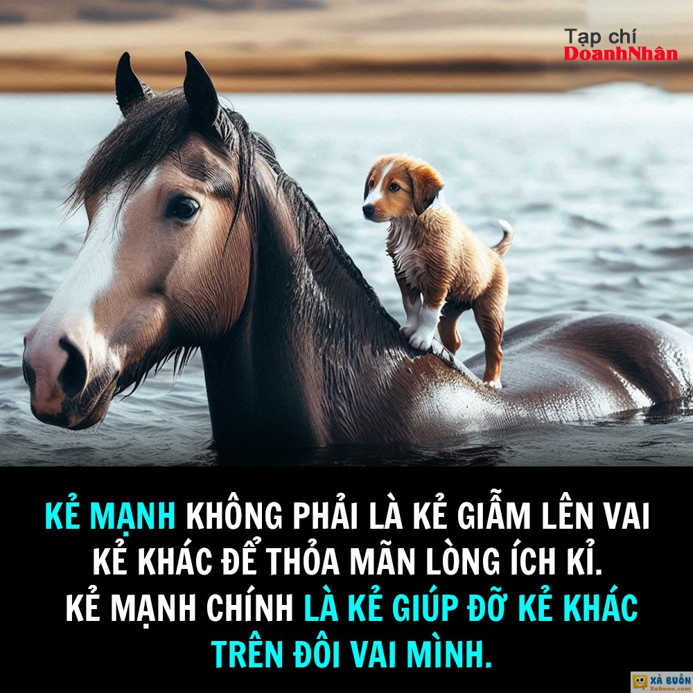 chuẩn -  haivl | hài hước | haiivl| bigo viet 