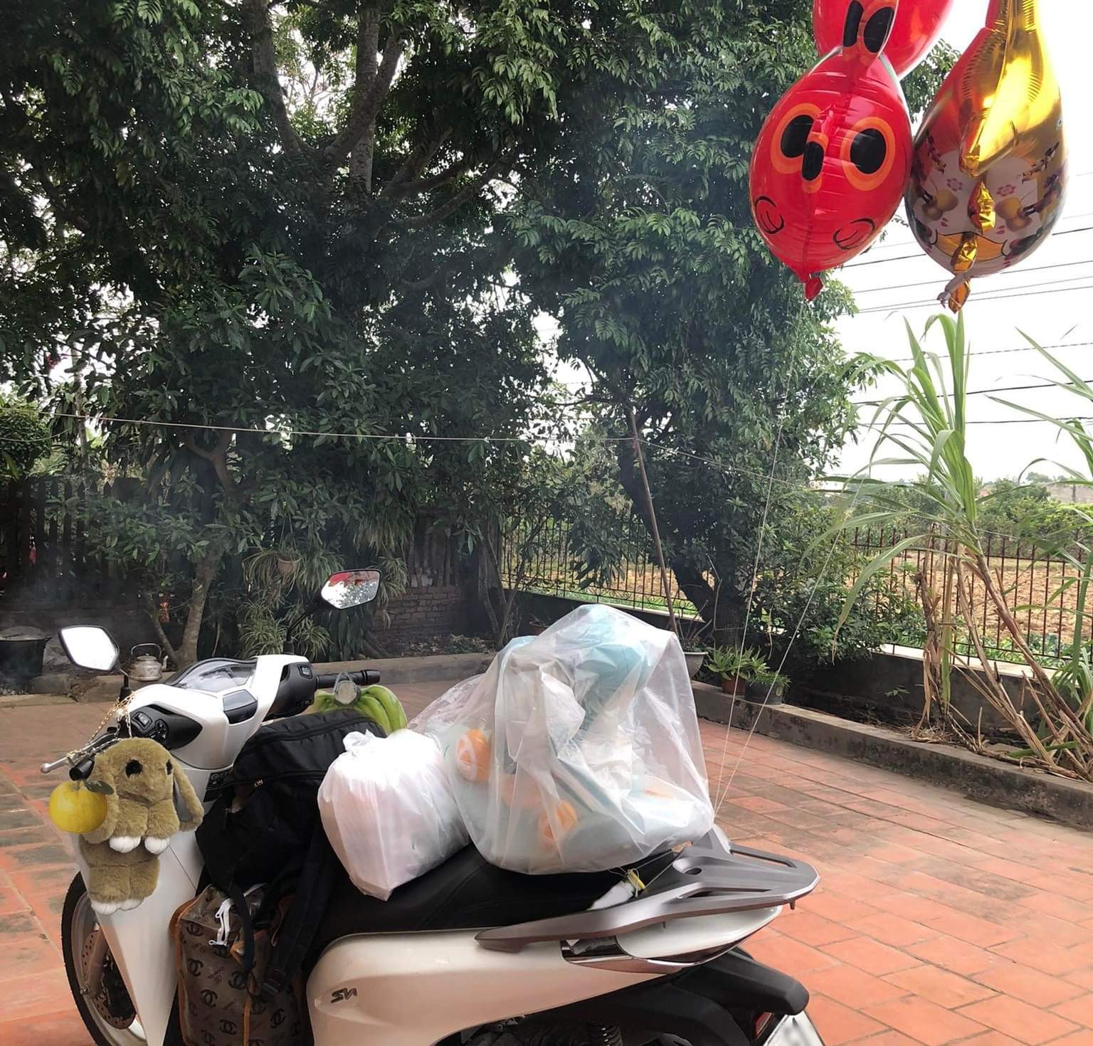 Hành trang sương sương của 1 cô gái về quê ăn Tết 🥺