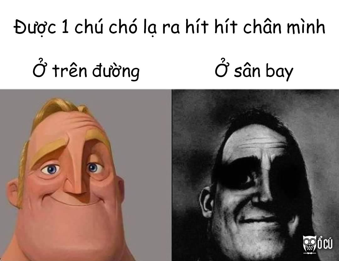Xong phim luôn 💀 -  haivl | hài hước | hài vl   