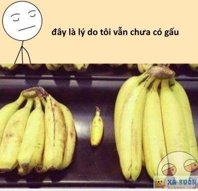  <3  :))  =)) <3   -  haivl | hài hước | hài vl  